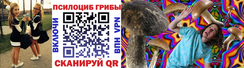 как найти закладки  Миньяр  Псилоцибиновые грибы GOLDEN TEACHER 