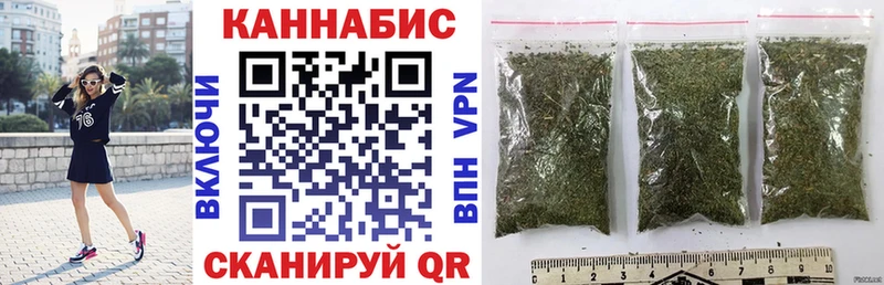 Бошки Шишки планчик Миньяр